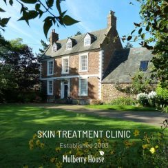 mulberry house skin treatment clinic